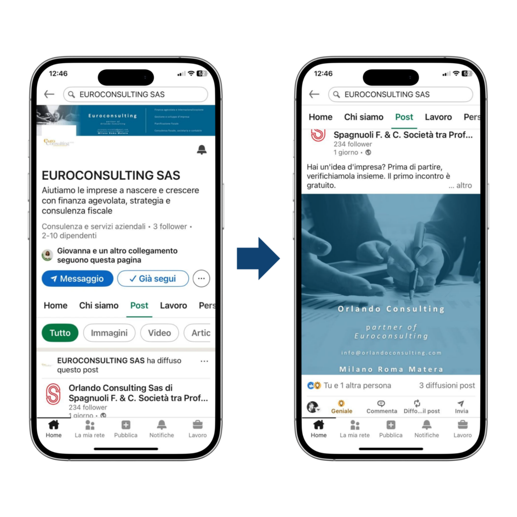 netural coop - branding e comunicazione